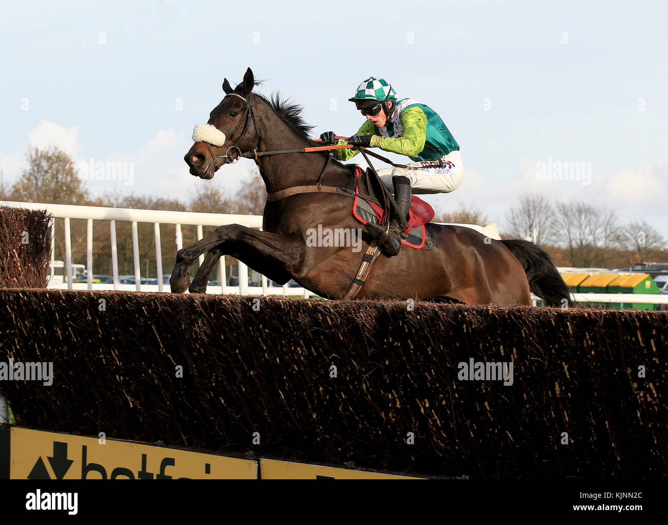 Clan Des Obeaux ridden by Harry Cobden wins the Cash Out In-Play With Betfair Graduation Steeple Chase during Betfair Chase Day at Haydock Park Racecourse, Haydock. Stock Photo