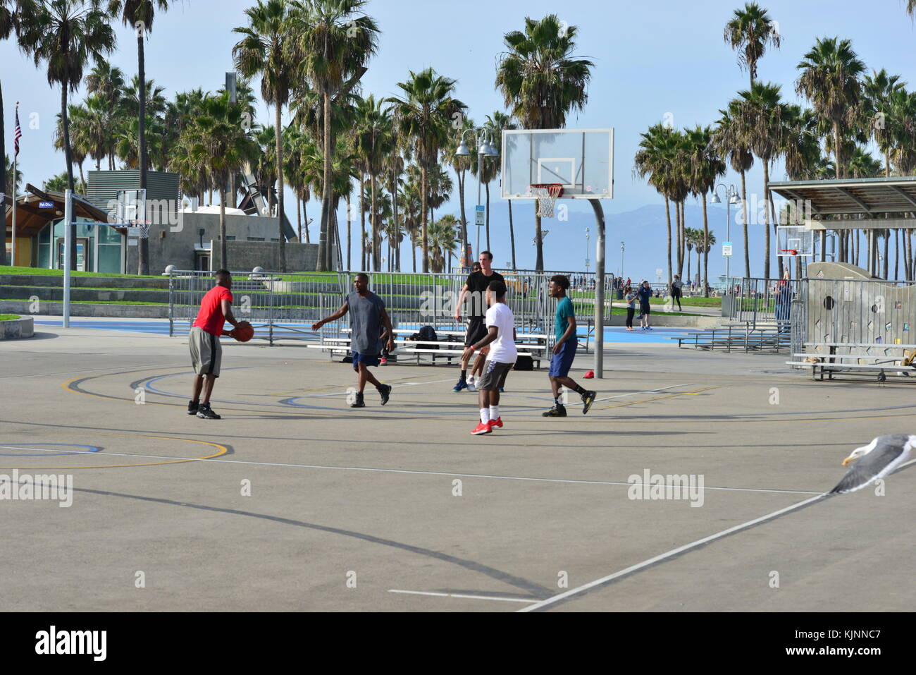 Group of black guys playing Basketball at Venice beach Stock Photo