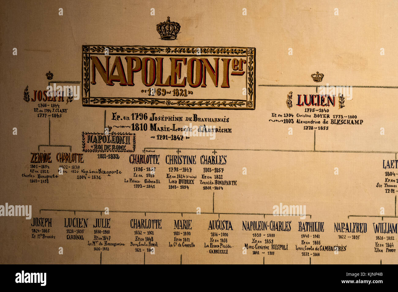 Corsica: the family tree of Napoleon Bonaparte at the Maison Bonaparte in Ajaccio, ancestral home of the Bonaparte family and birthplace of Napoleon Stock Photo