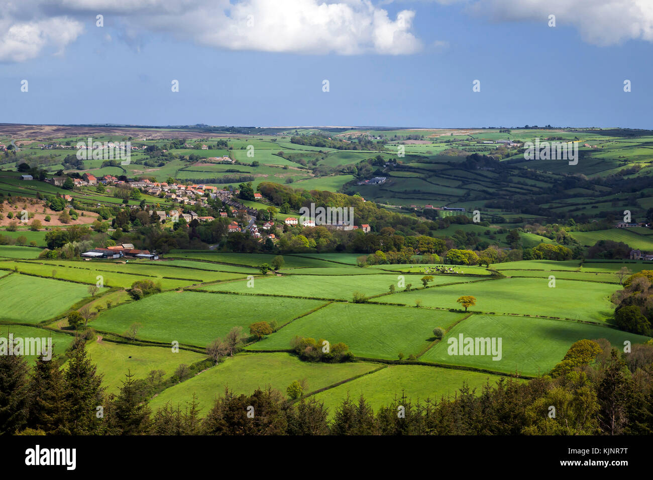 Glaisdale valley and village North York Moors national park North Yorkshire Stock Photo