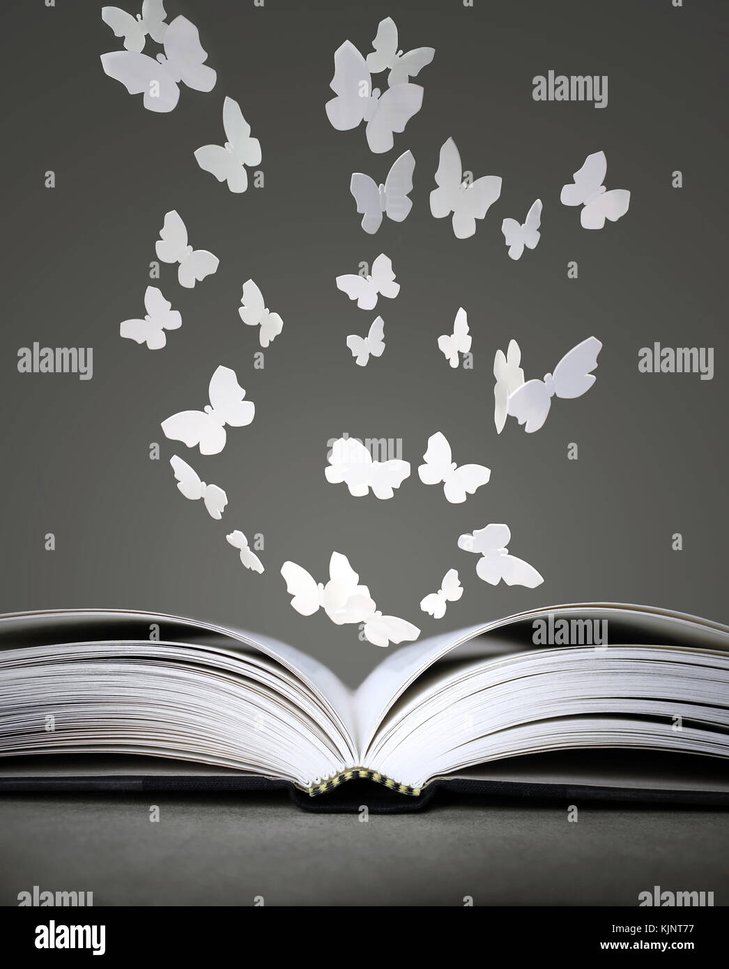 Book and butterflies hi-res stock photography and images - Alamy