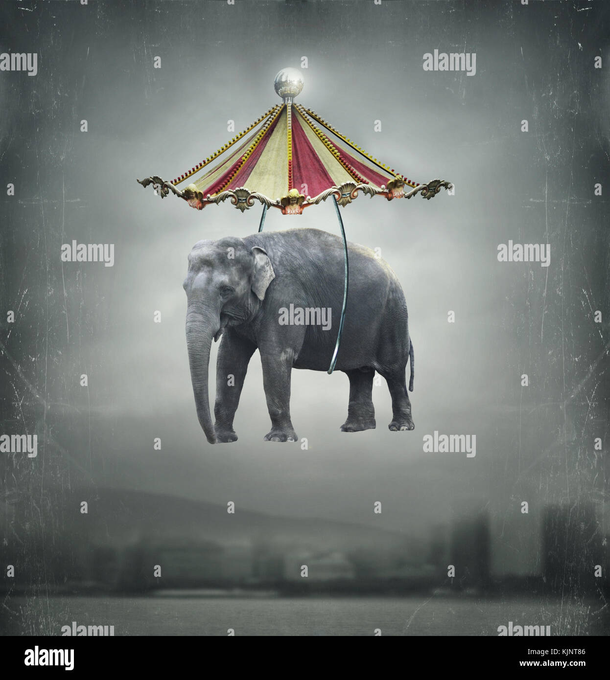 Fantasy image that represent a flying elephant with circus tent in the sky and landscape on the background Stock Photo