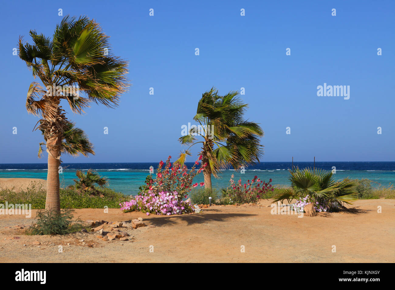 Marine landscape of Marsa Alam (Red Sea), Egypt Stock Photo