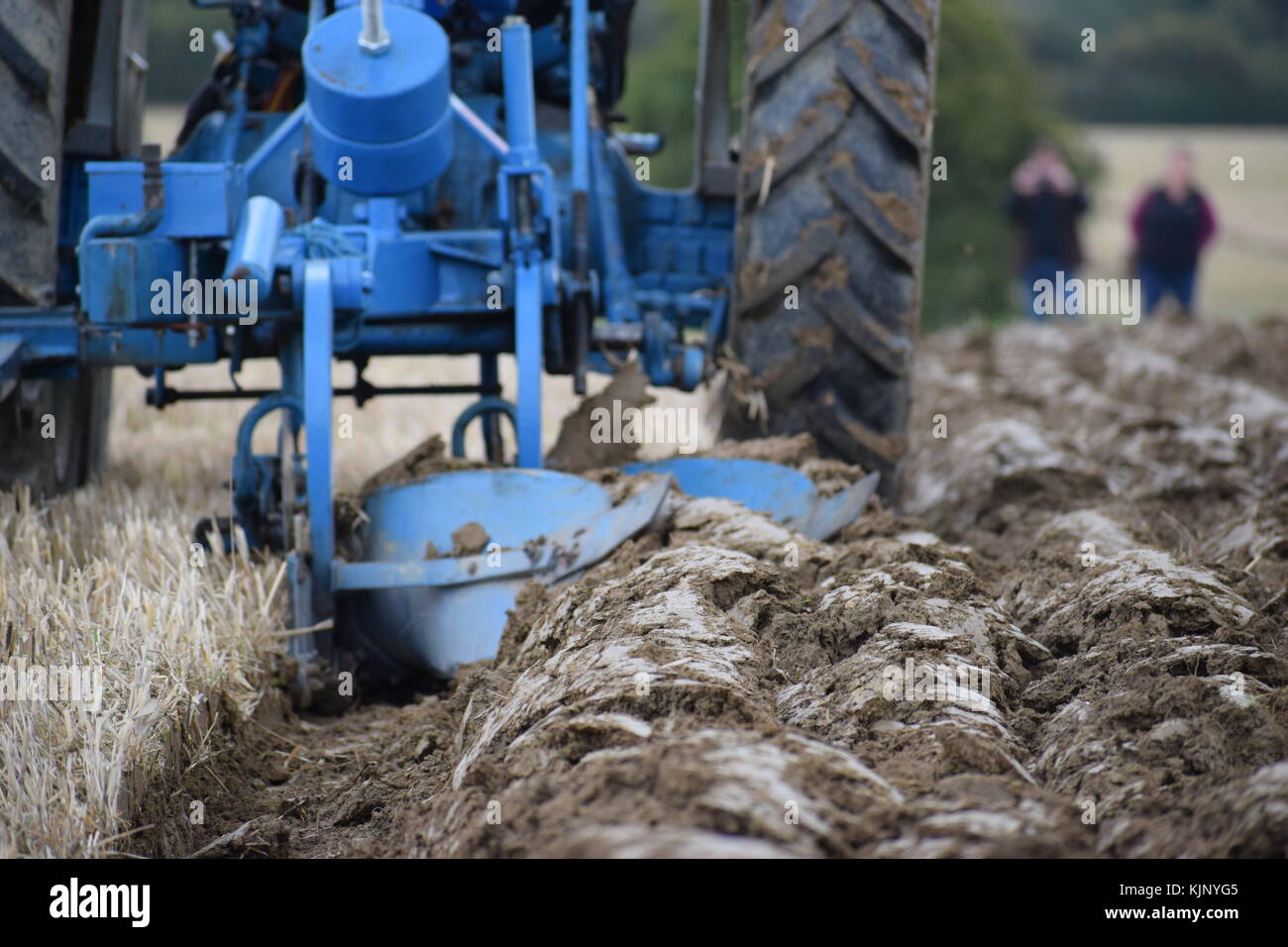 Old fashioned blue tractor plouging deep furrows into clay soil in England plouging match Stock Photo