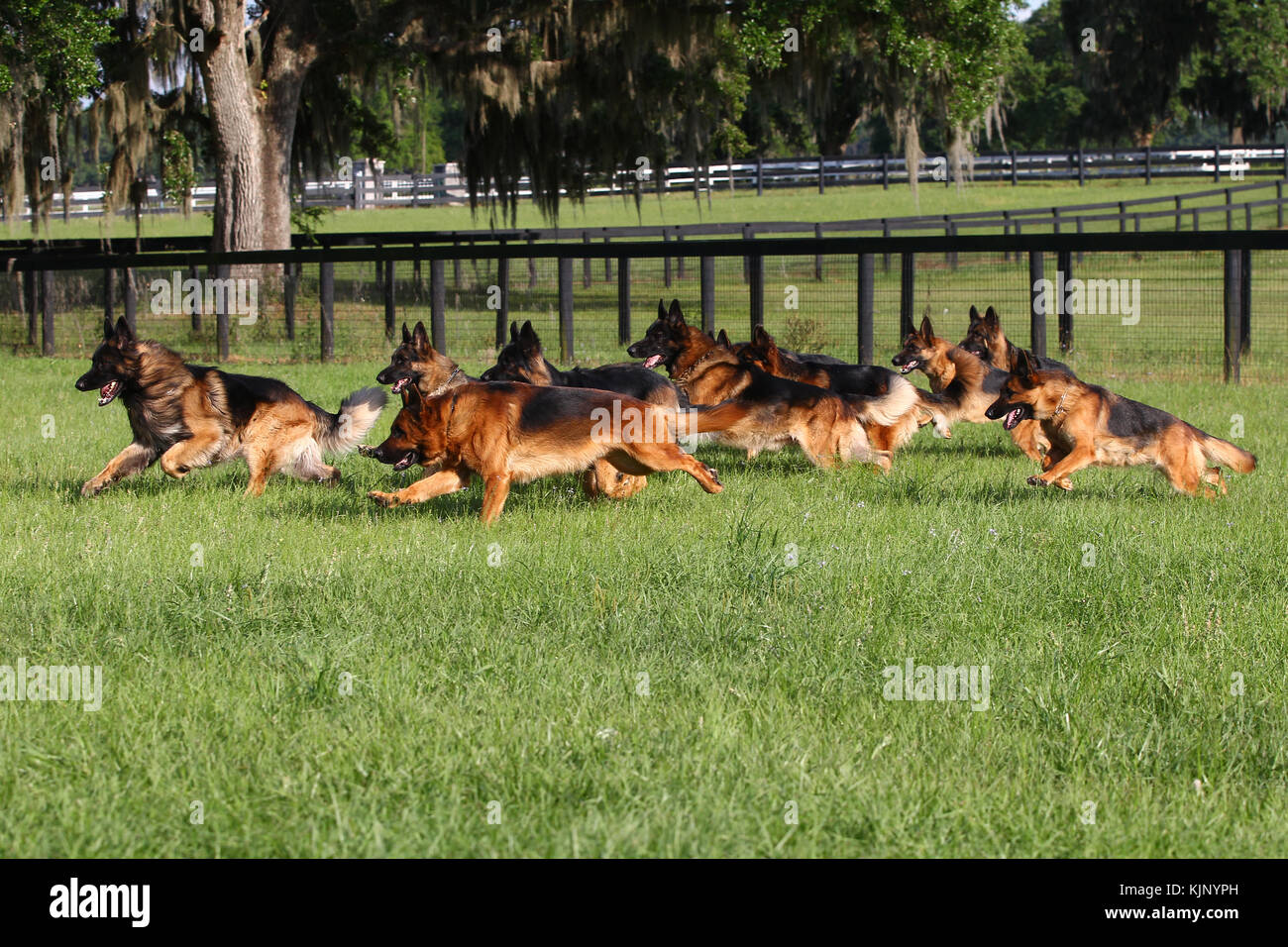 Group racing together hi-res stock photography and images - Alamy
