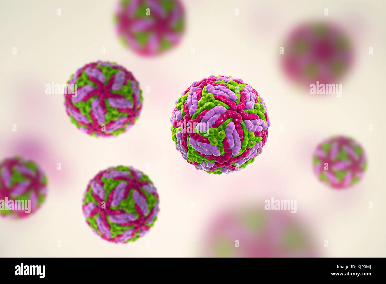 Powassan virus particles, computer illustration. This virus is a human ...