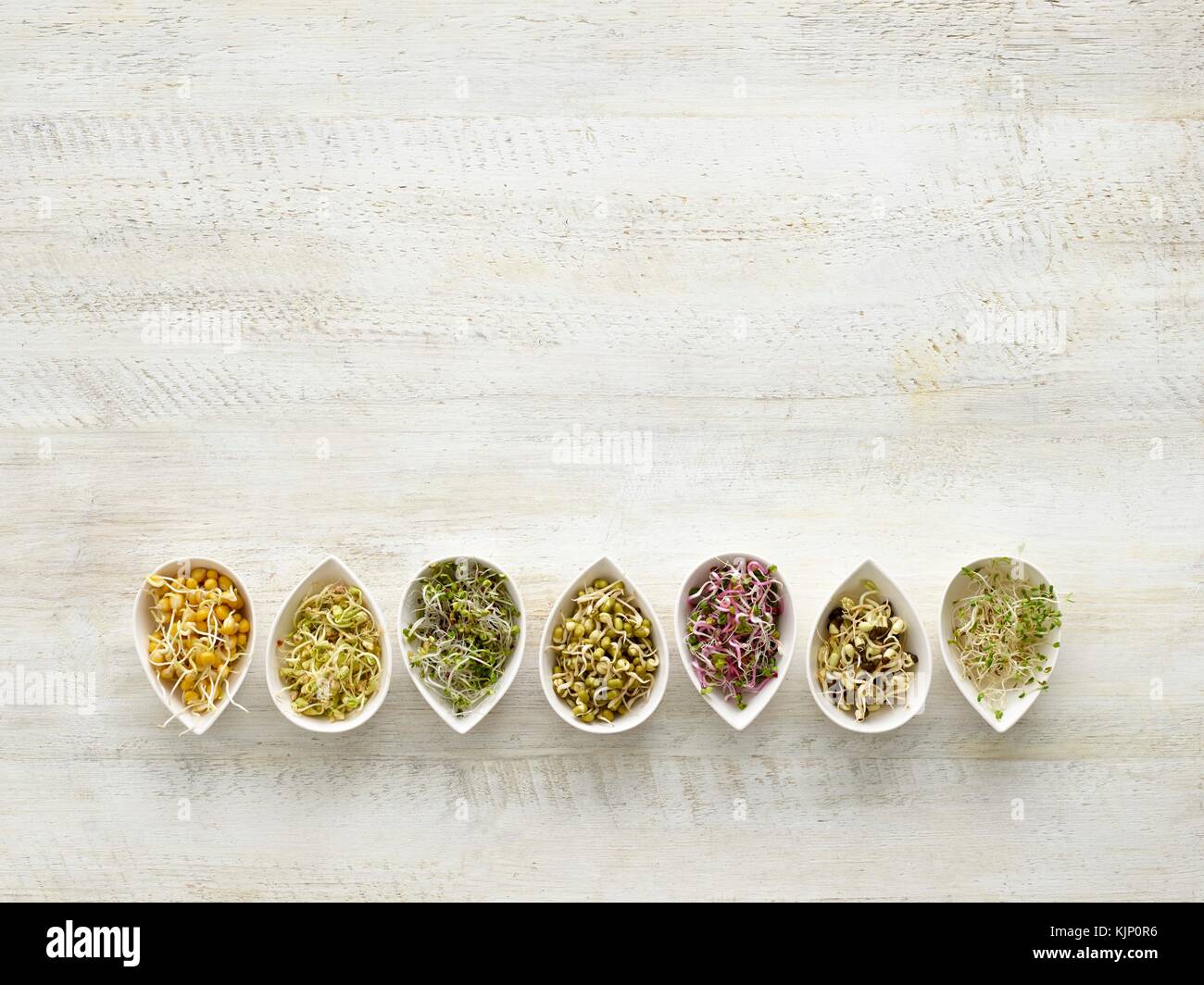 Sprouting beans in tear shaped serving mini bowls. Stock Photo