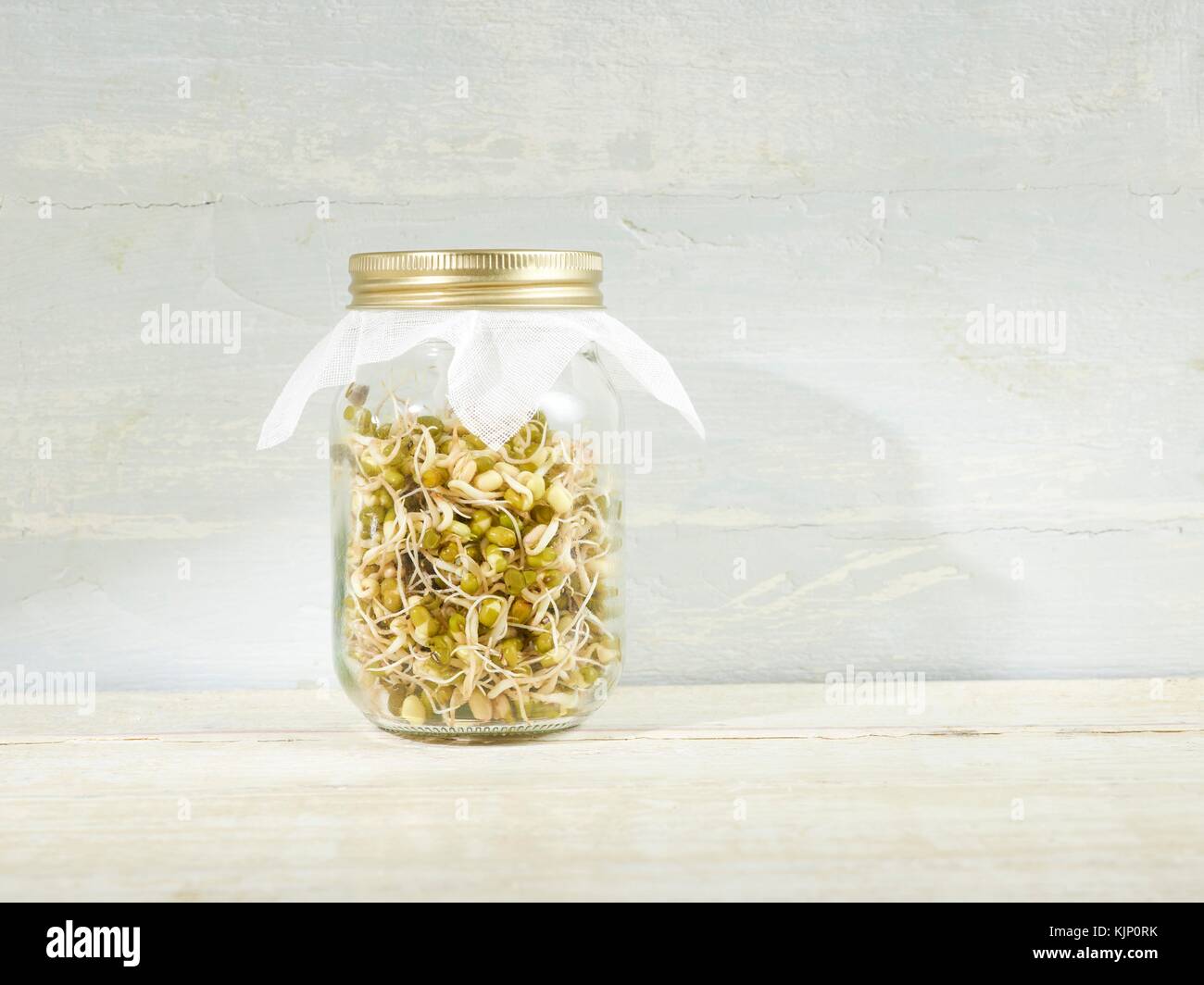 Sprouting mung beans in a jar. Stock Photo