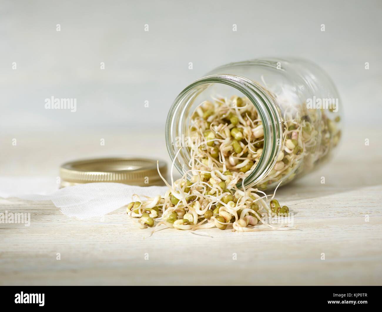Sprouting mung beans spilling out from a jar. Stock Photo