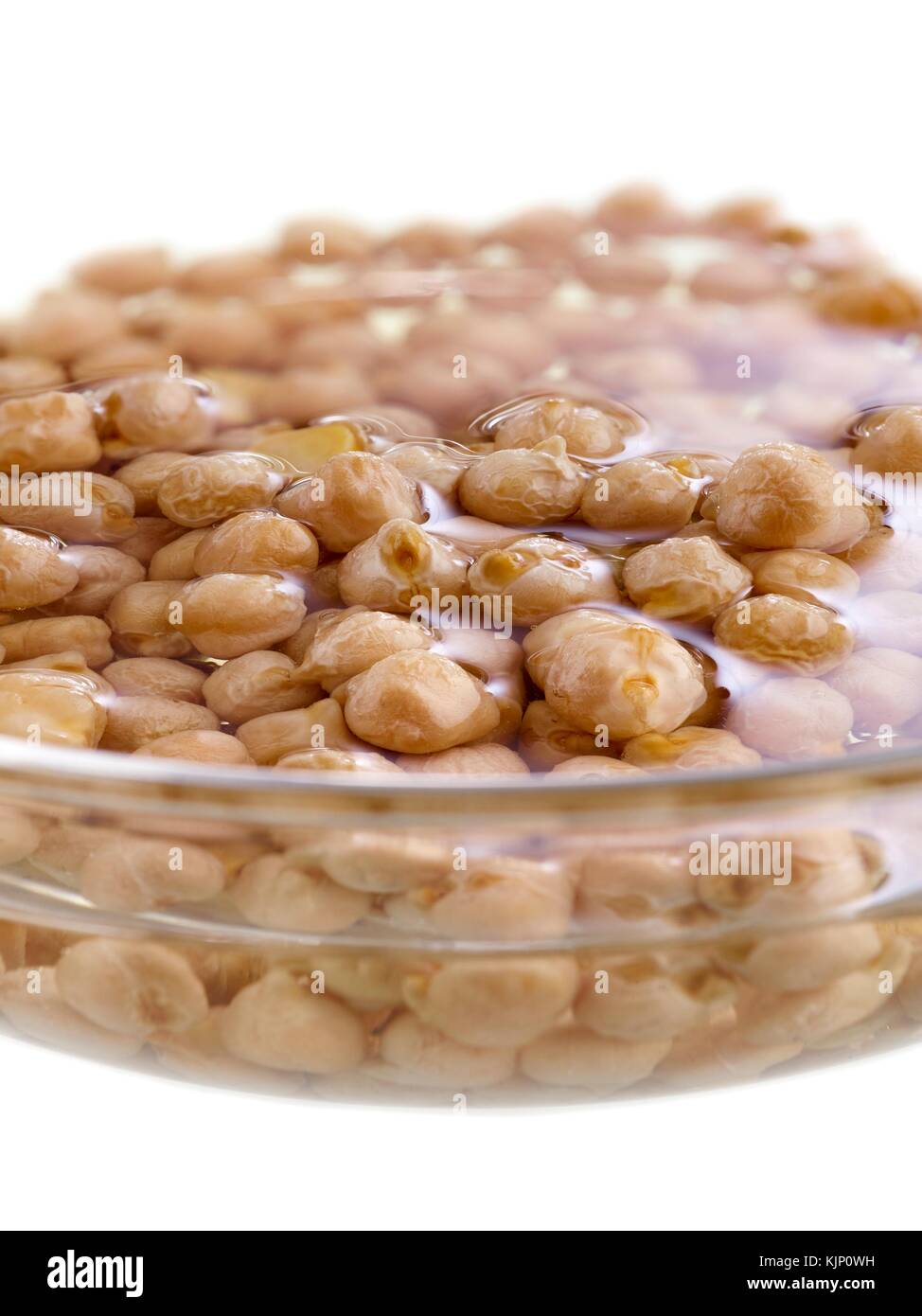 Sprouting chickpeas soaking in water. Stock Photo