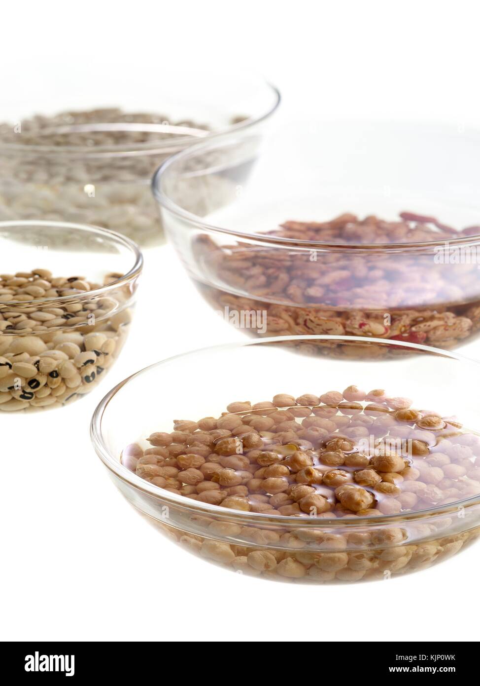 Sprouting pulses soaking in water. Stock Photo