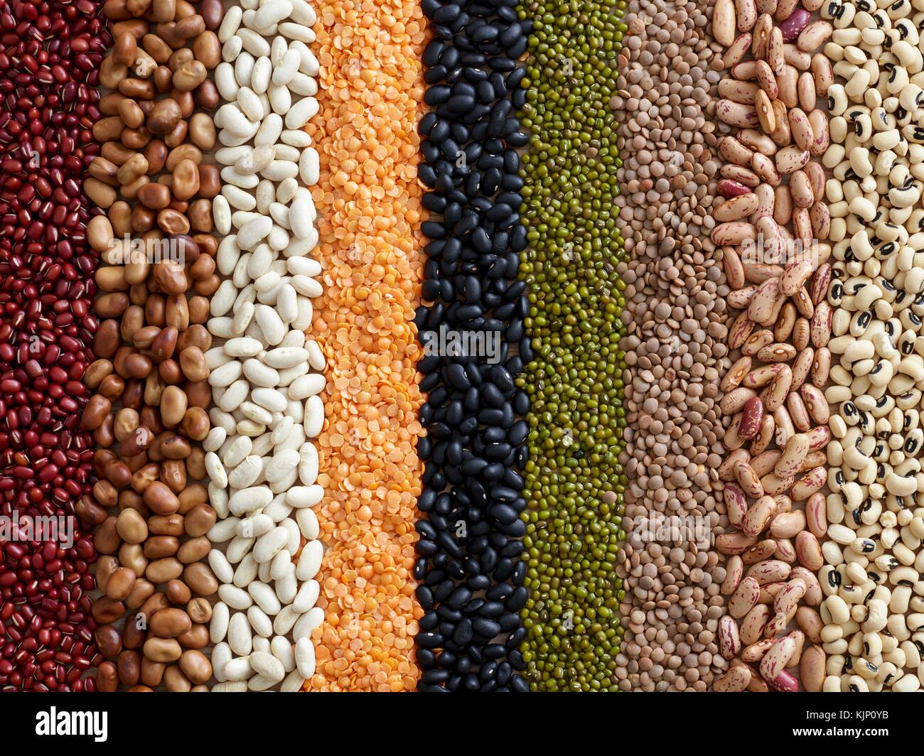 Pulses in rows. Stock Photo