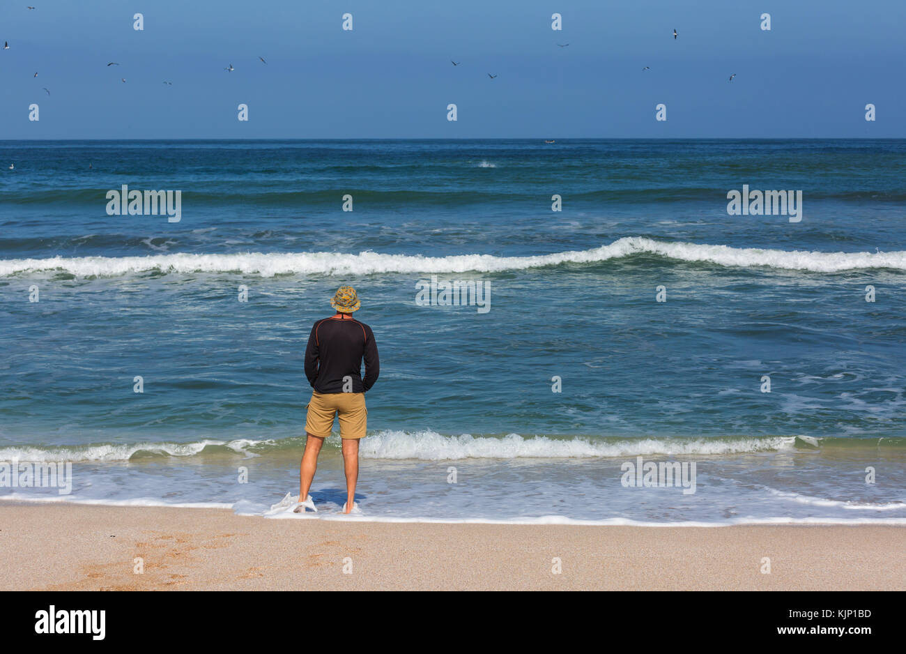 Beach on the ocean coast Stock Photo - Alamy