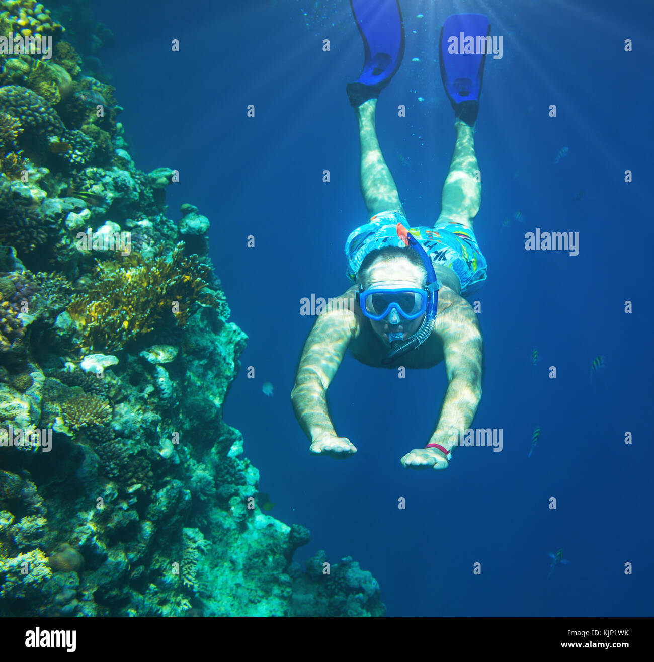 Freediv hires stock photography and images Alamy