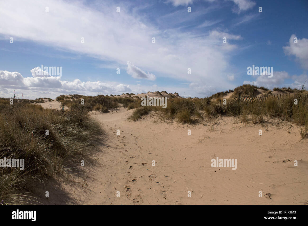 Formby footprint hi-res stock photography and images - Alamy