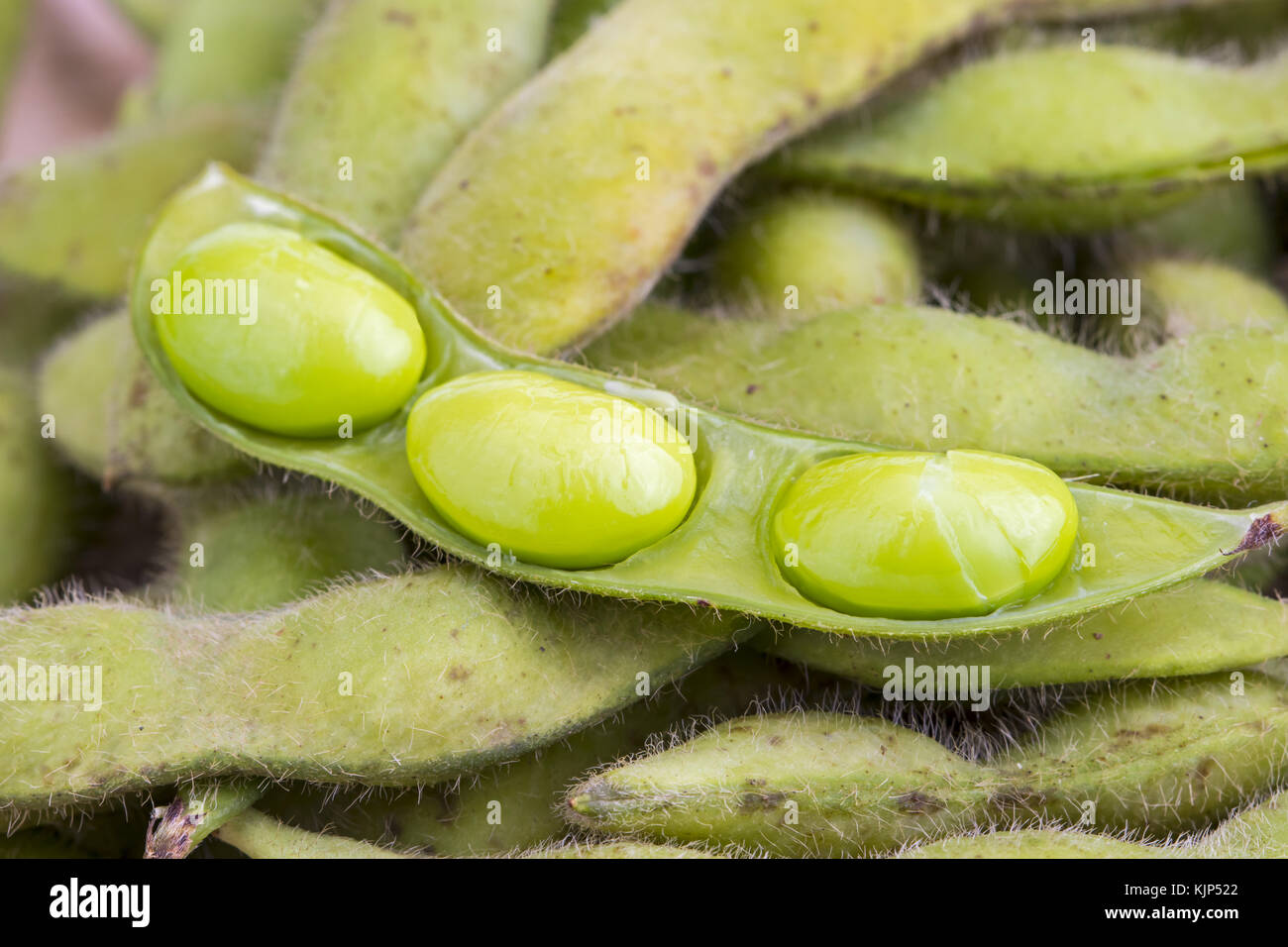 Green soybean (Vegetable soybean) boiled Stock Photo Alamy