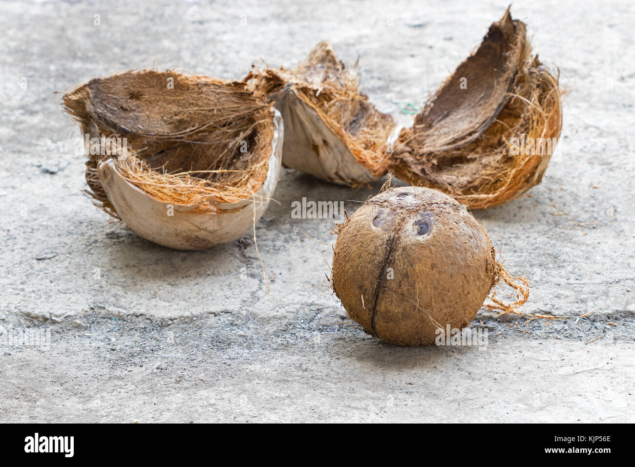 Brown coconut with peeling Stock Photo Alamy