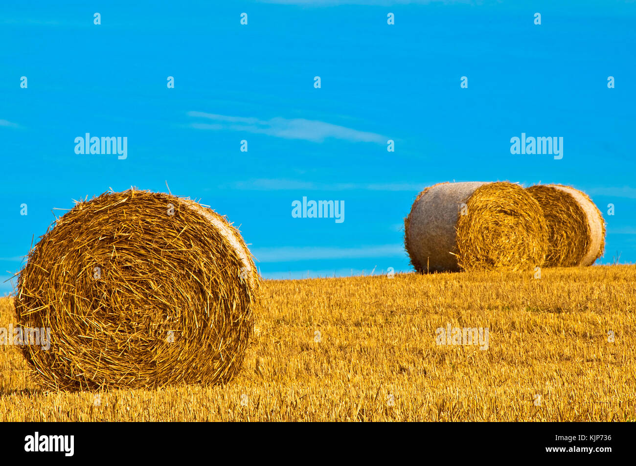 bale of straw with a blue sky Stock Photo - Alamy
