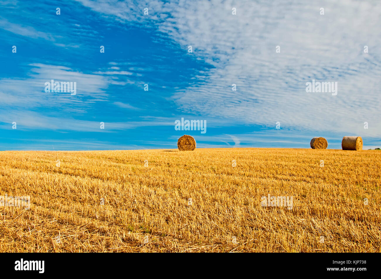 bale of straw with a blue sky Stock Photo - Alamy