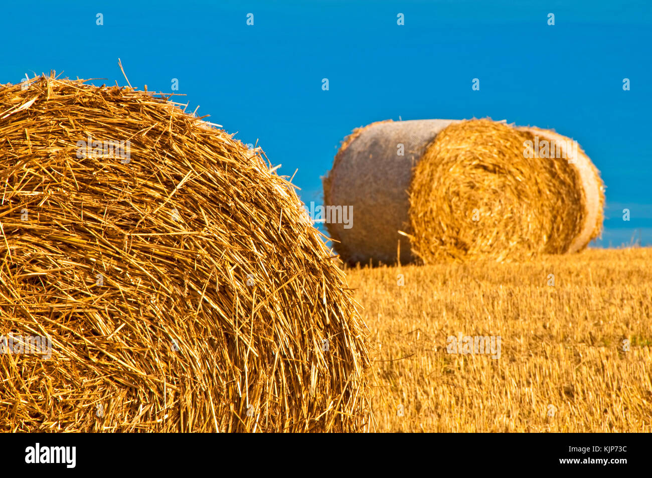 bale of straw with a blue sky Stock Photo - Alamy