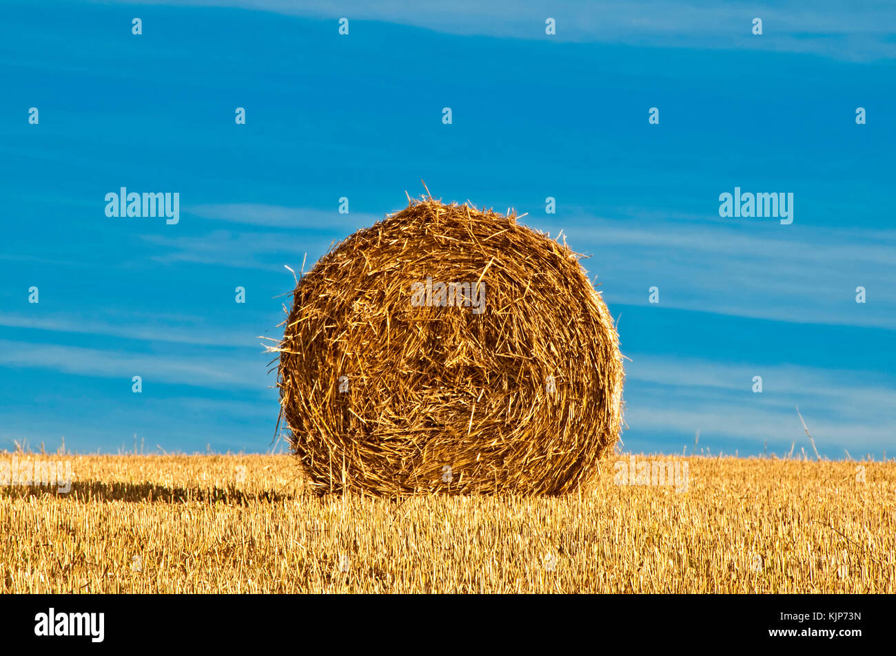 bale of straw with a blue sky Stock Photo - Alamy
