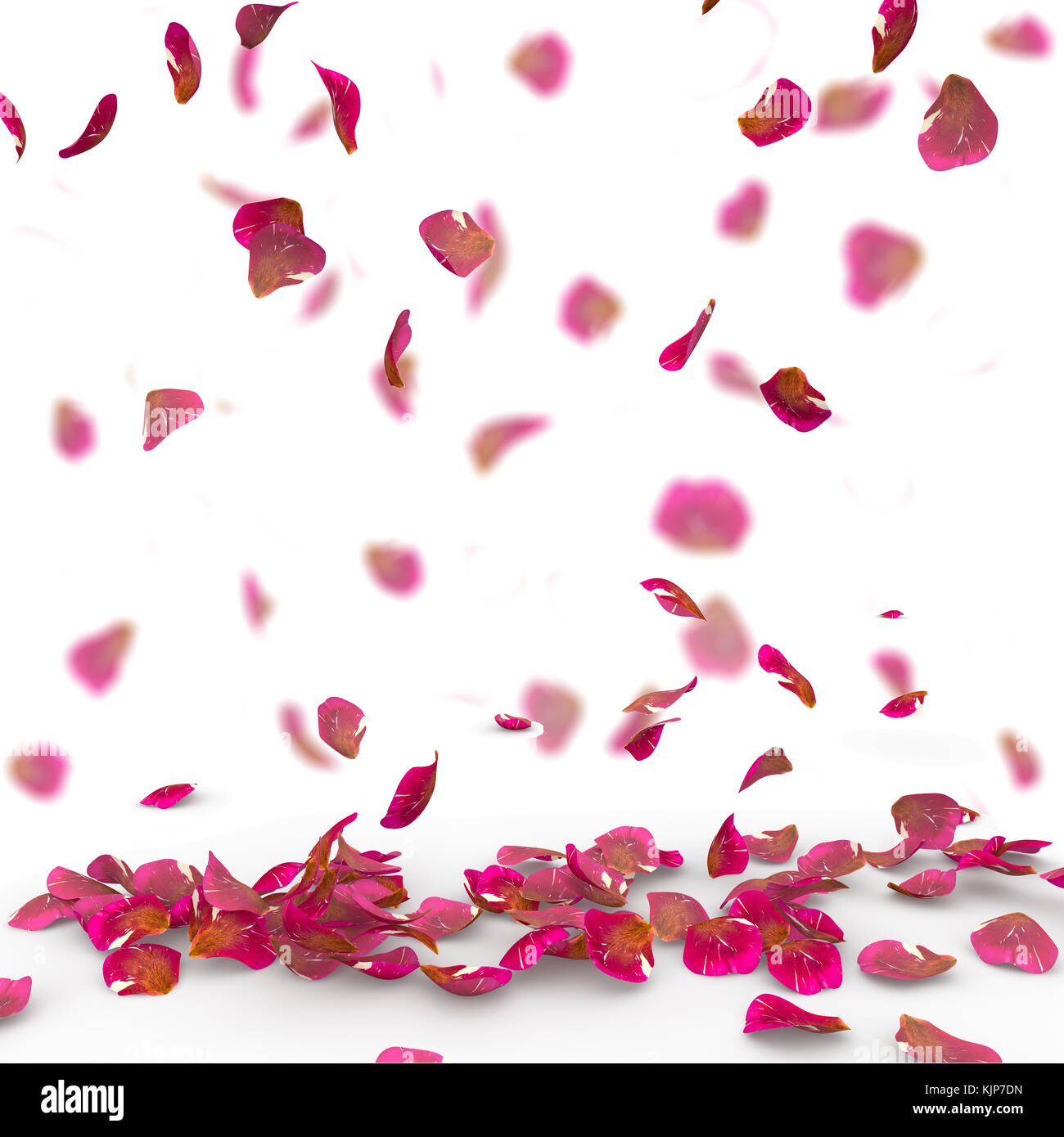 Seamless texture of red rose petals. Isolated background. Blurred