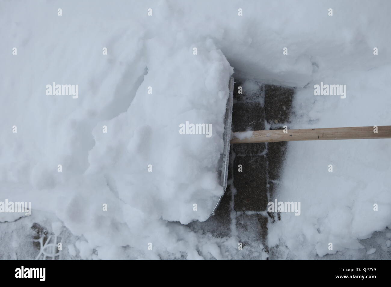 Shoveling snow from driveway shovel in snow Stock Photo Alamy