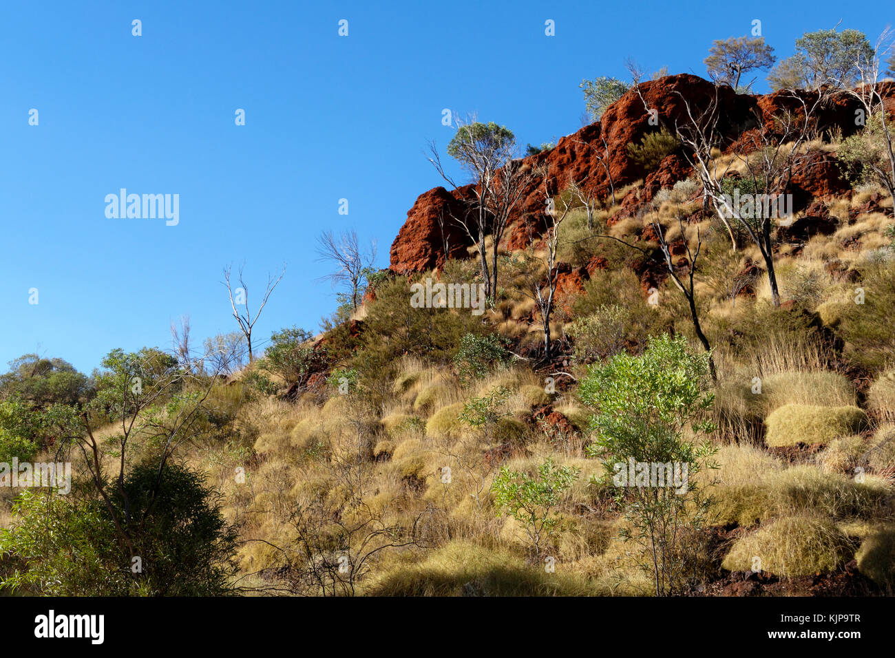 Australian iron ore landscape, Pilbara, Western Australia Stock Photo