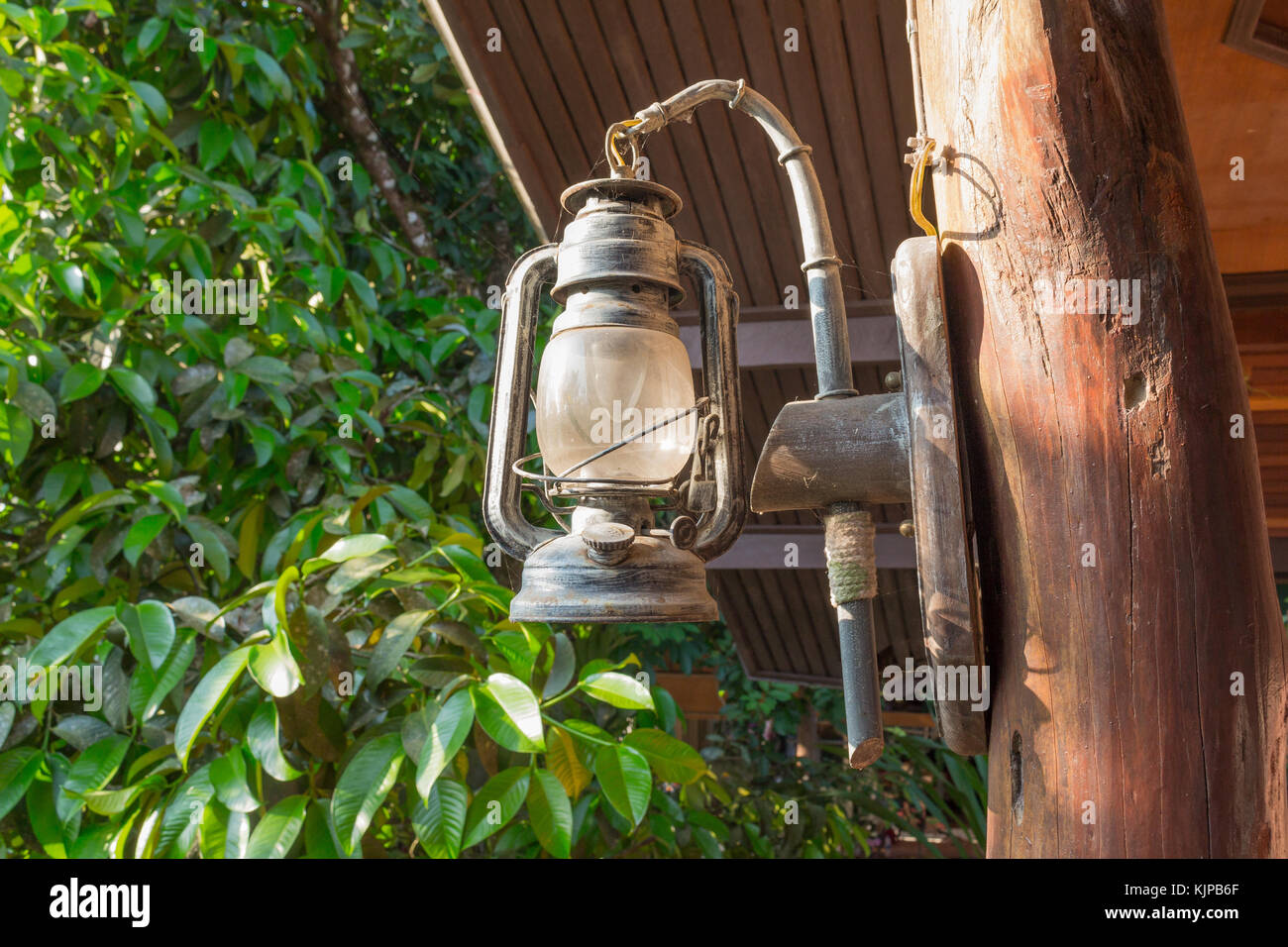 antique kerosene lamp, Classical oil lamps hanged on a tree in a garden