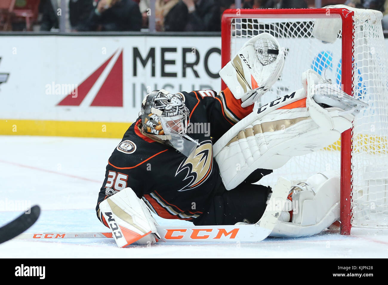 Anaheim ducks mascot hi-res stock photography and images - Alamy