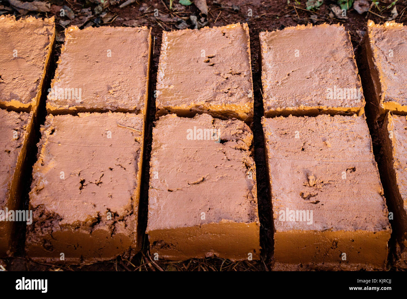 Freshly made mud bricks in the beginning of there drying process in Uganda. A brick is building material used to make walls, pavements and other eleme Stock Photo