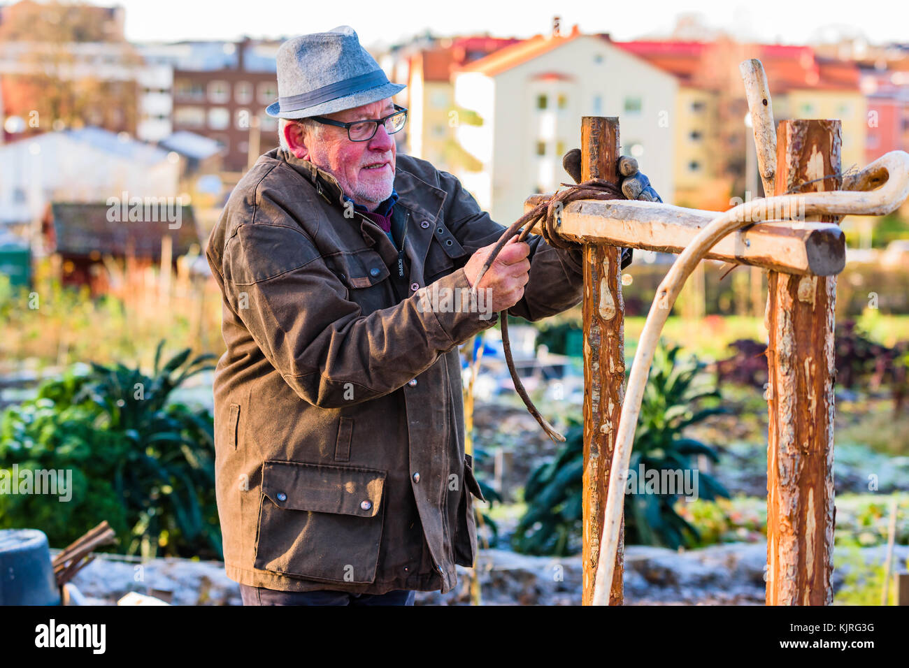 Old man gardening hi-res stock photography and images - Alamy