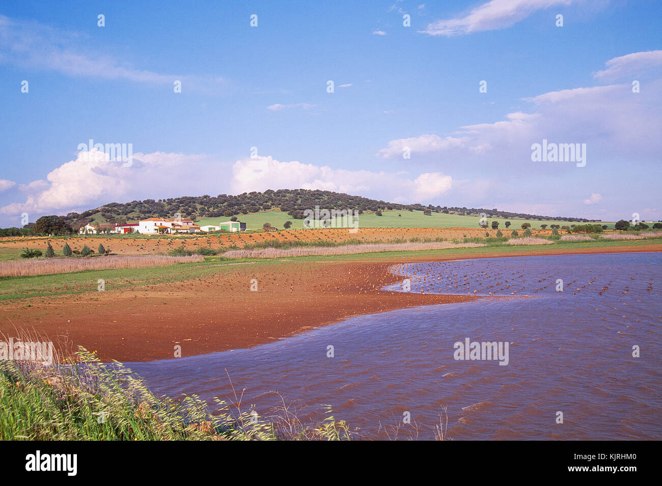 Landscape. Ciudad Real province, Castilla La Mancha, Spain. Stock Photo