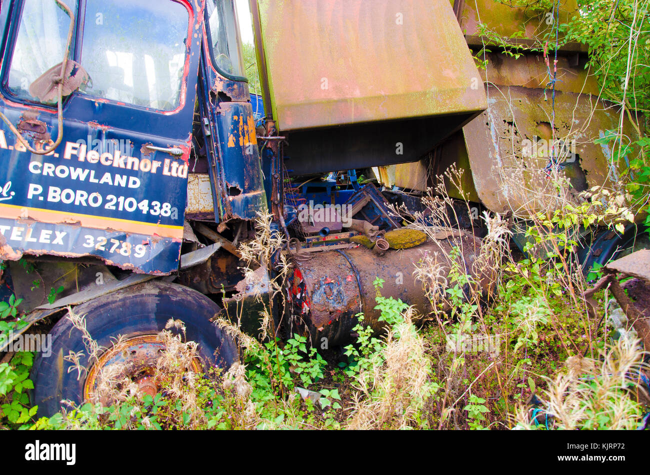 A scrap yard that specifically holds broken down vehicles for scrap and vehicle parts completely over grown and abandoned vehicles. Stock Photo