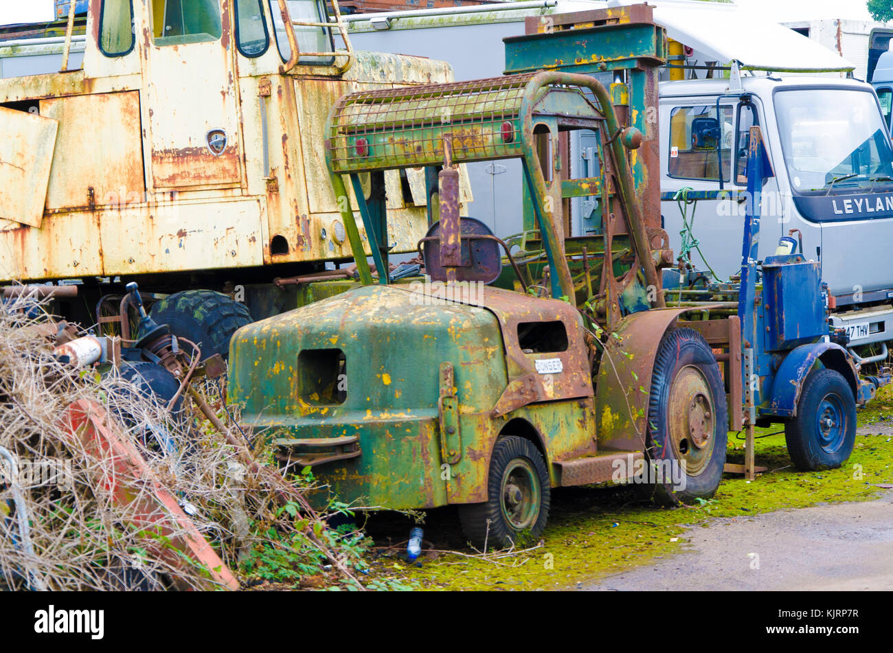 A scrap yard that specifically holds broken down vehicles for scrap and vehicle parts completely over grown and abandoned vehicles. Stock Photo