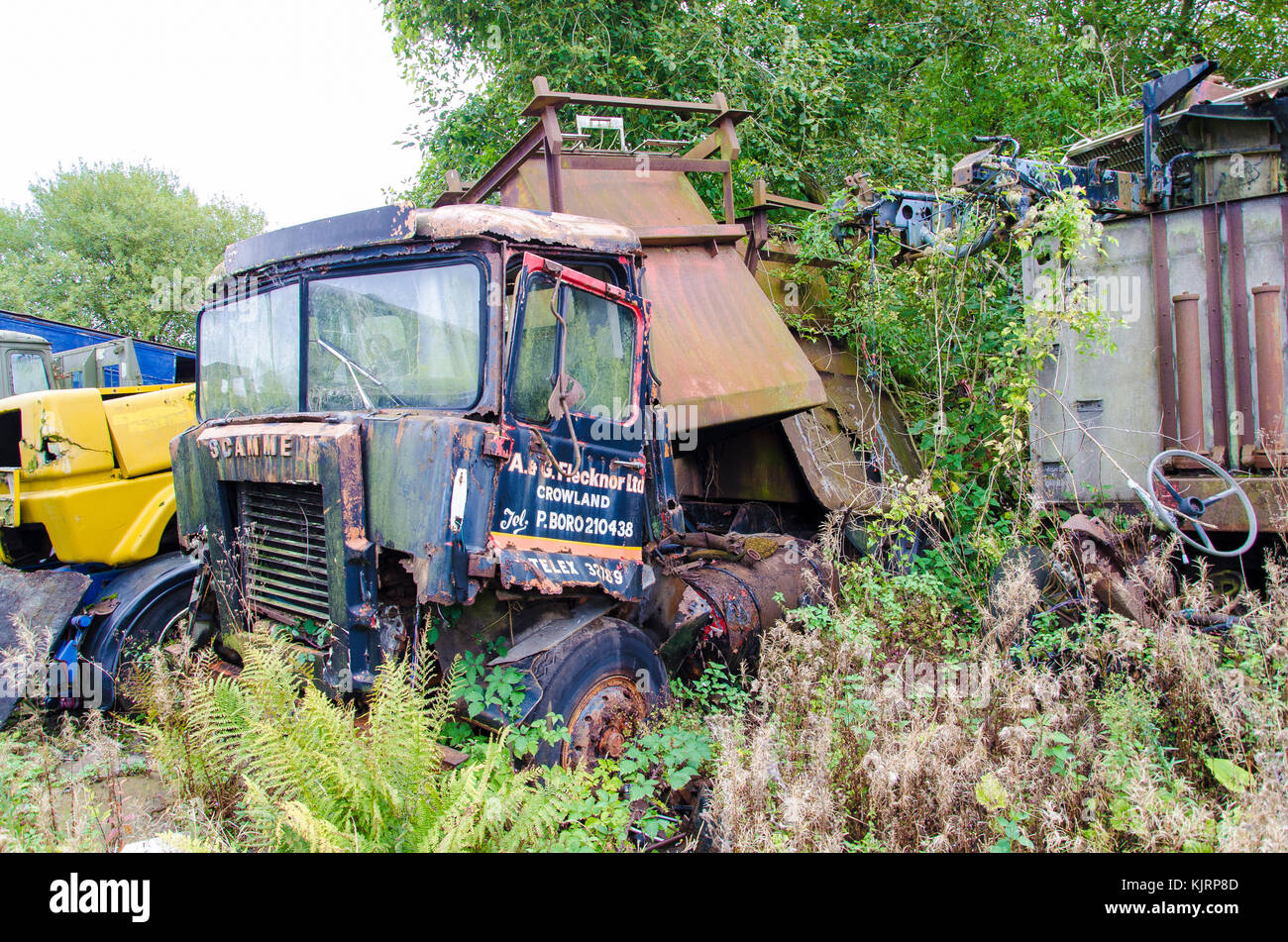 A scrap yard that specifically holds broken down vehicles for scrap and vehicle parts completely over grown and abandoned vehicles. Stock Photo