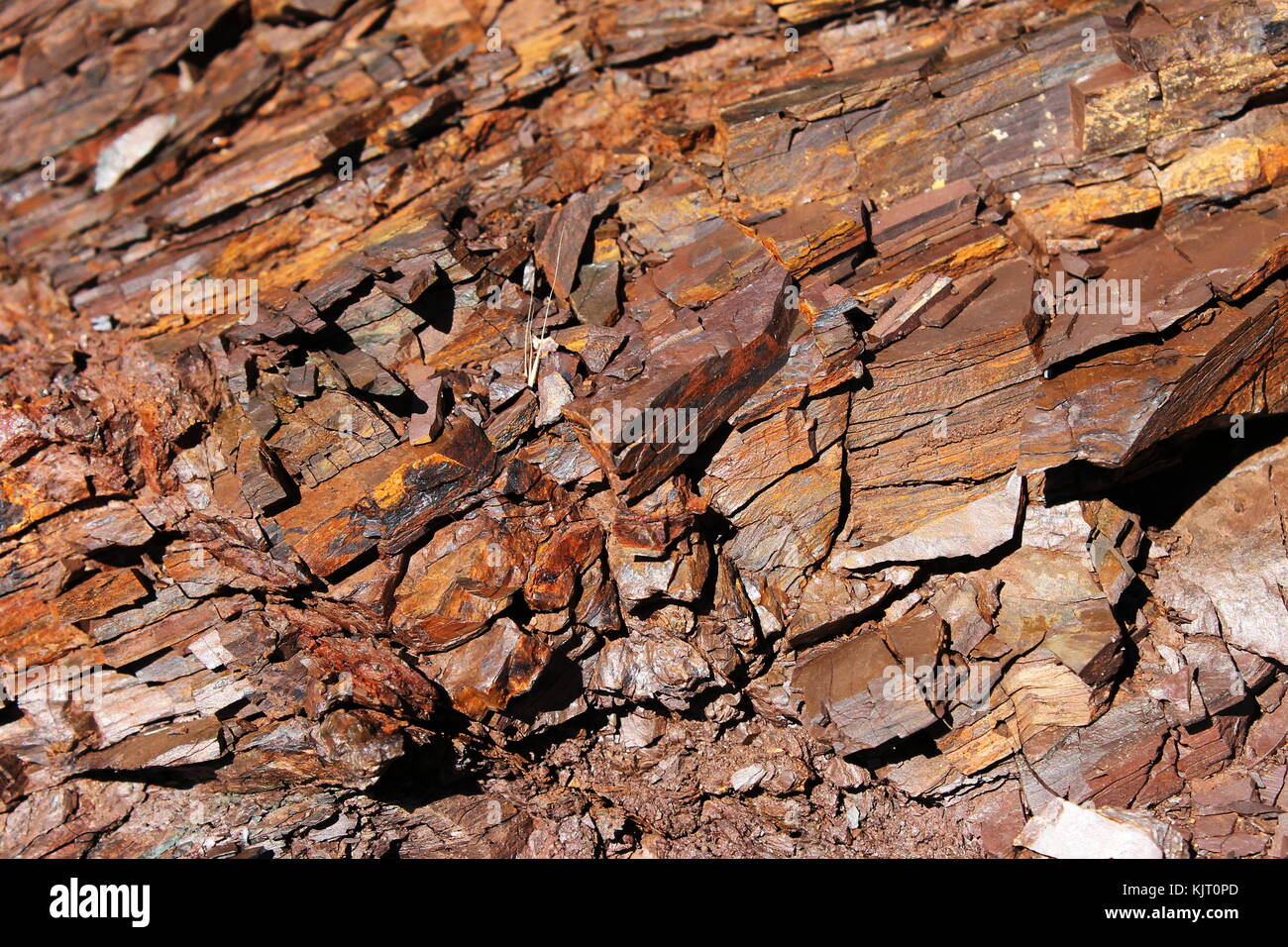 red chert rocks on a hill in the Marin Headlands in the Bay Area Stock