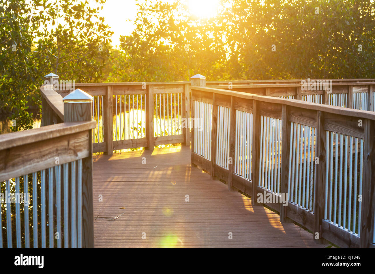 Boardwalk in swamp Stock Photo Alamy