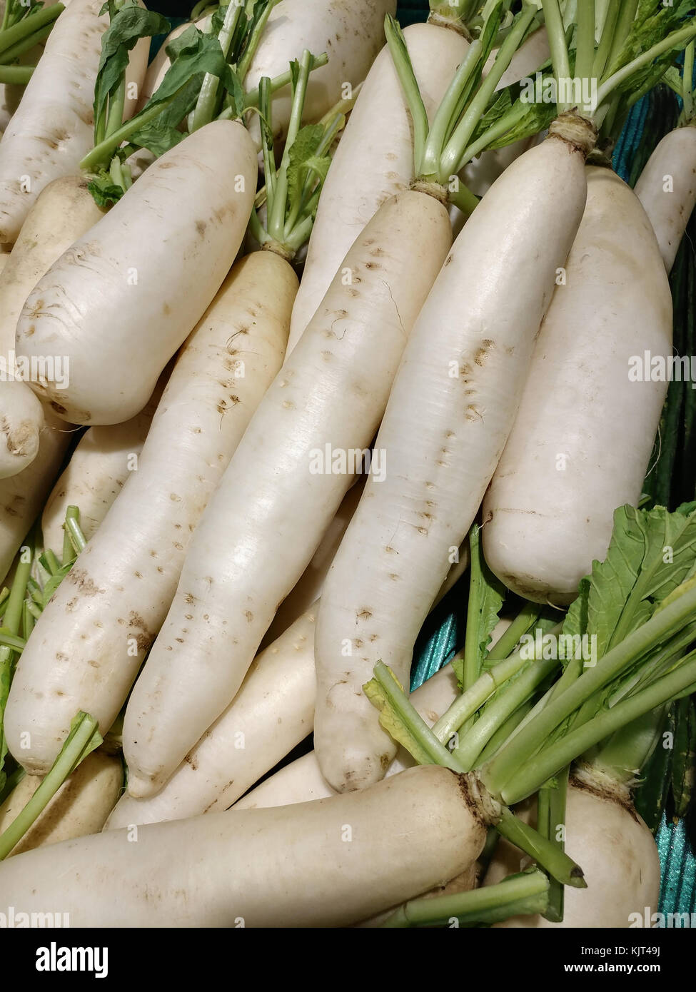 Pile Of White Radish In The Market Stock Photo Alamy