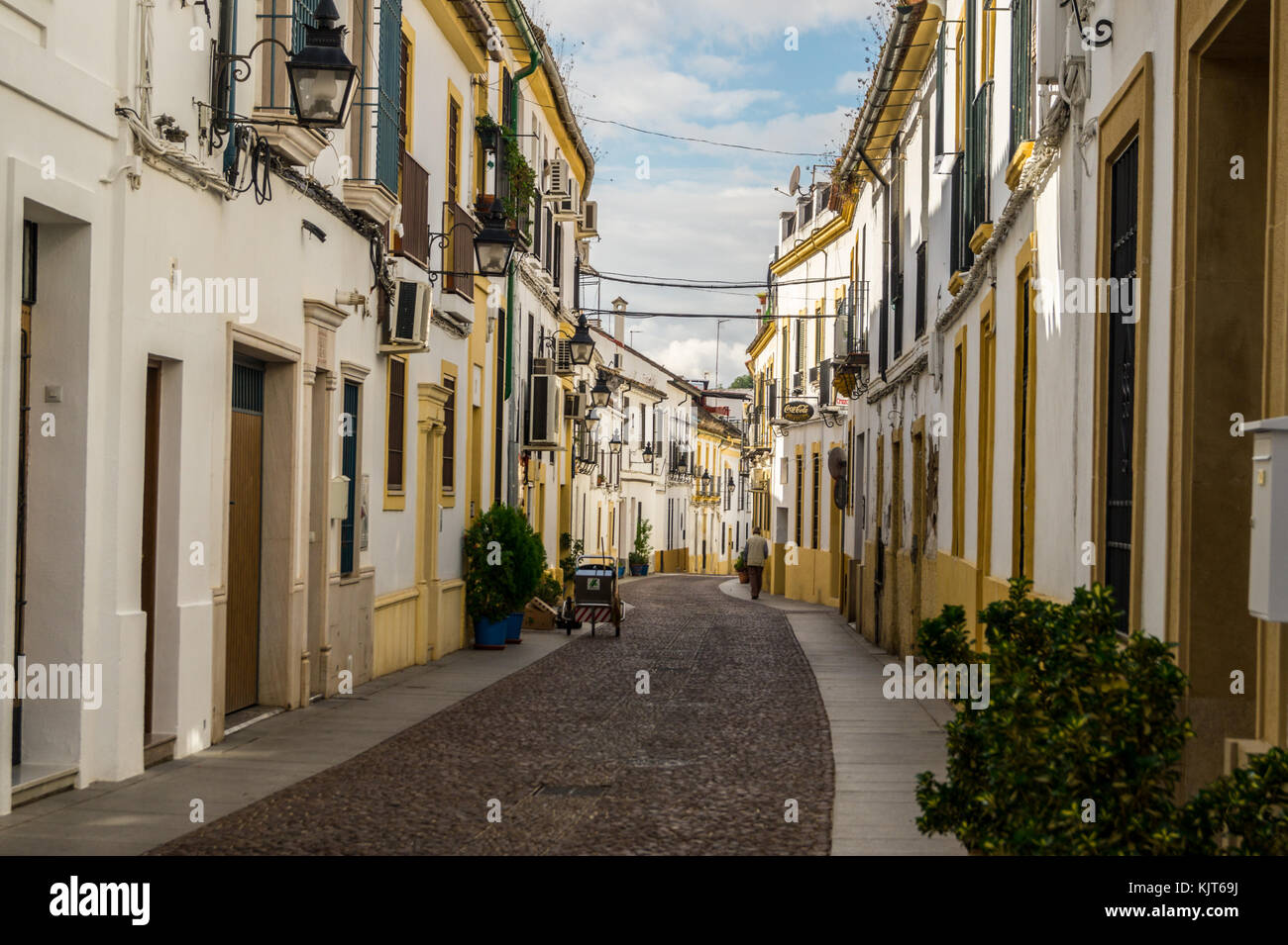 Patios, Barrio de San Basilio quarter, Córdoba, Andalucia, Spain Stock