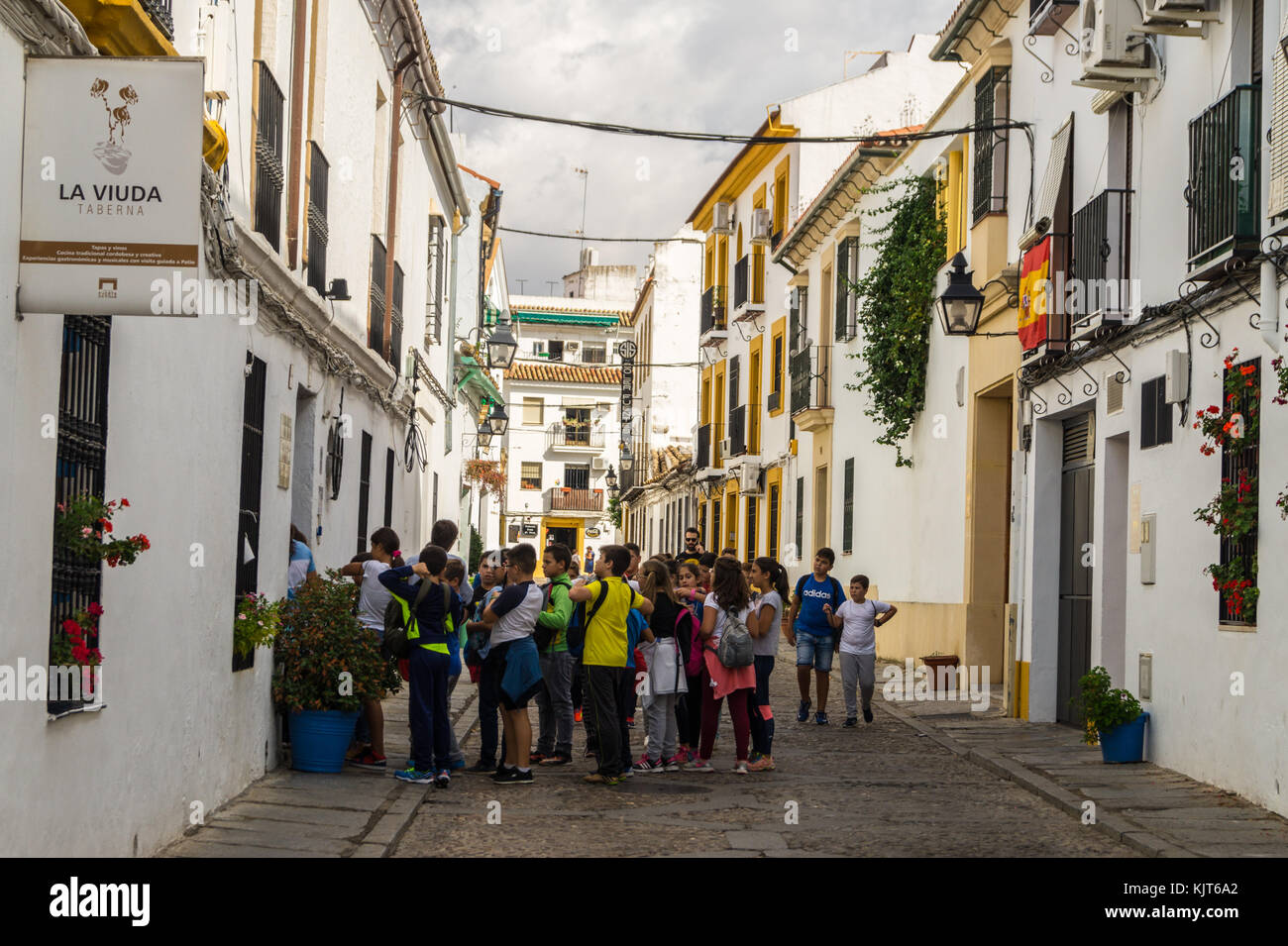 Patios, Barrio de San Basilio quarter, Córdoba, Andalucia, Spain Stock Photo