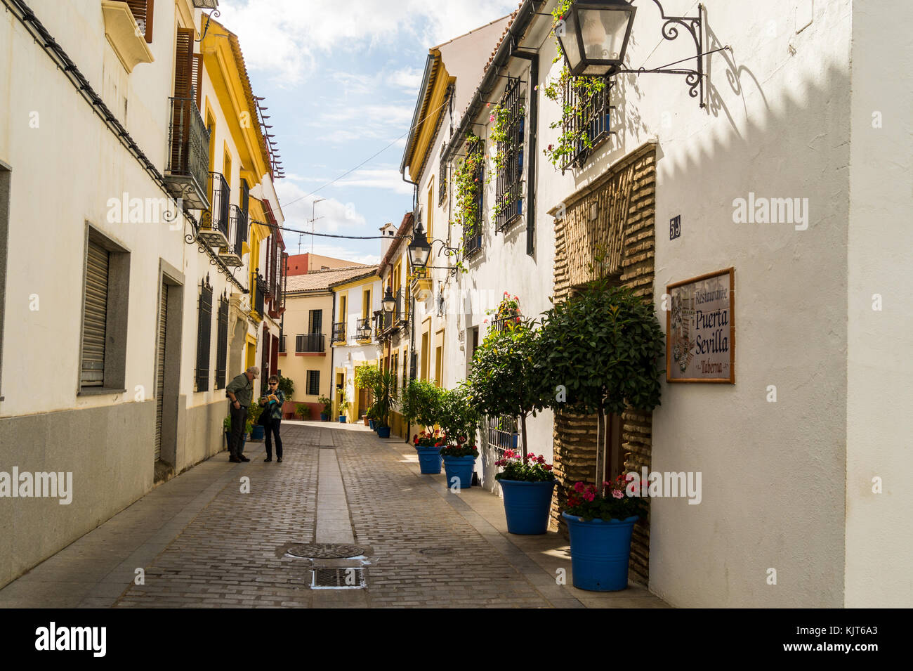 Patios, Barrio de San Basilio quarter, Córdoba, Andalucia, Spain Stock Photo