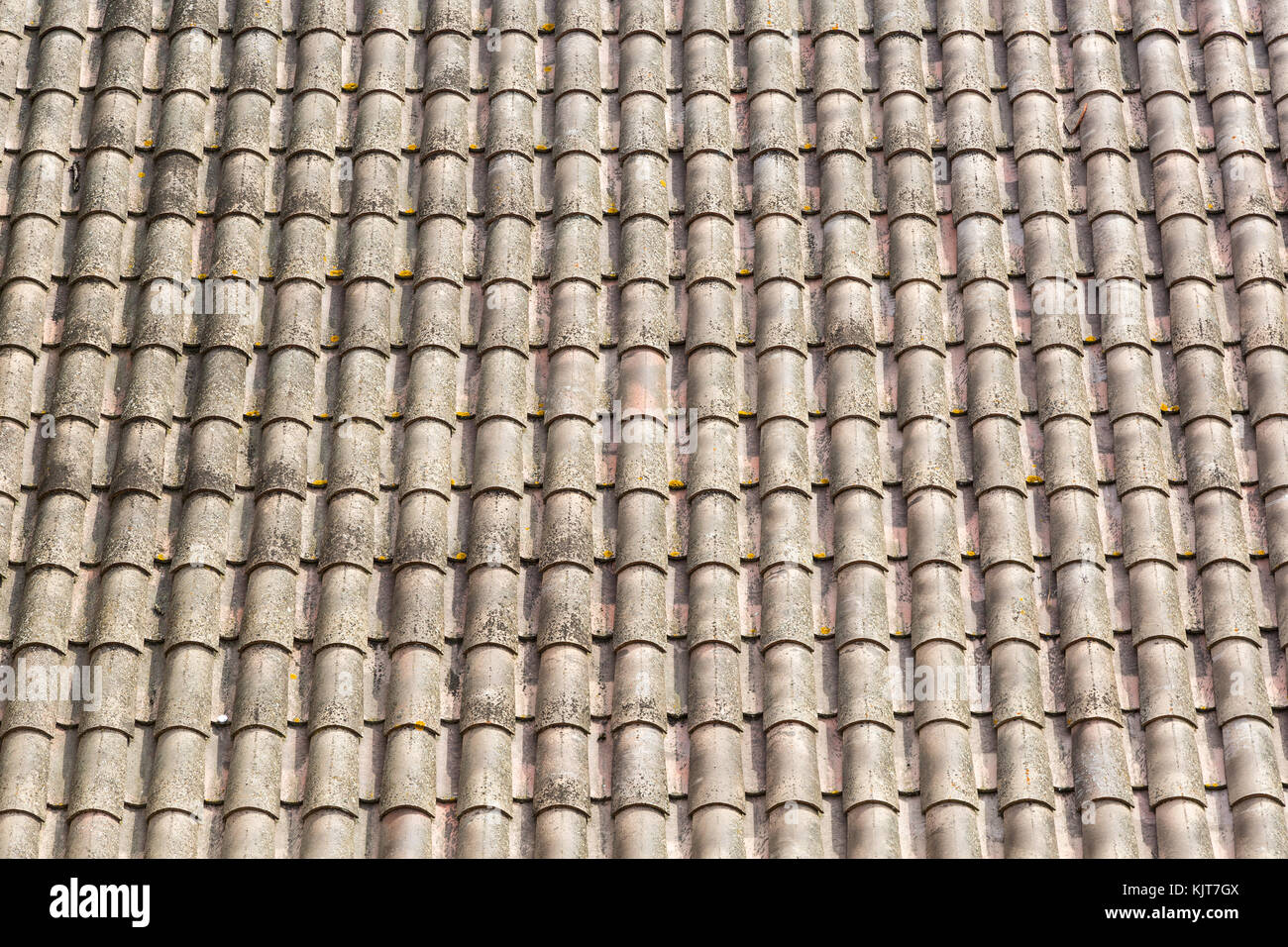 Dirty weathered roof tiles Stock Photo