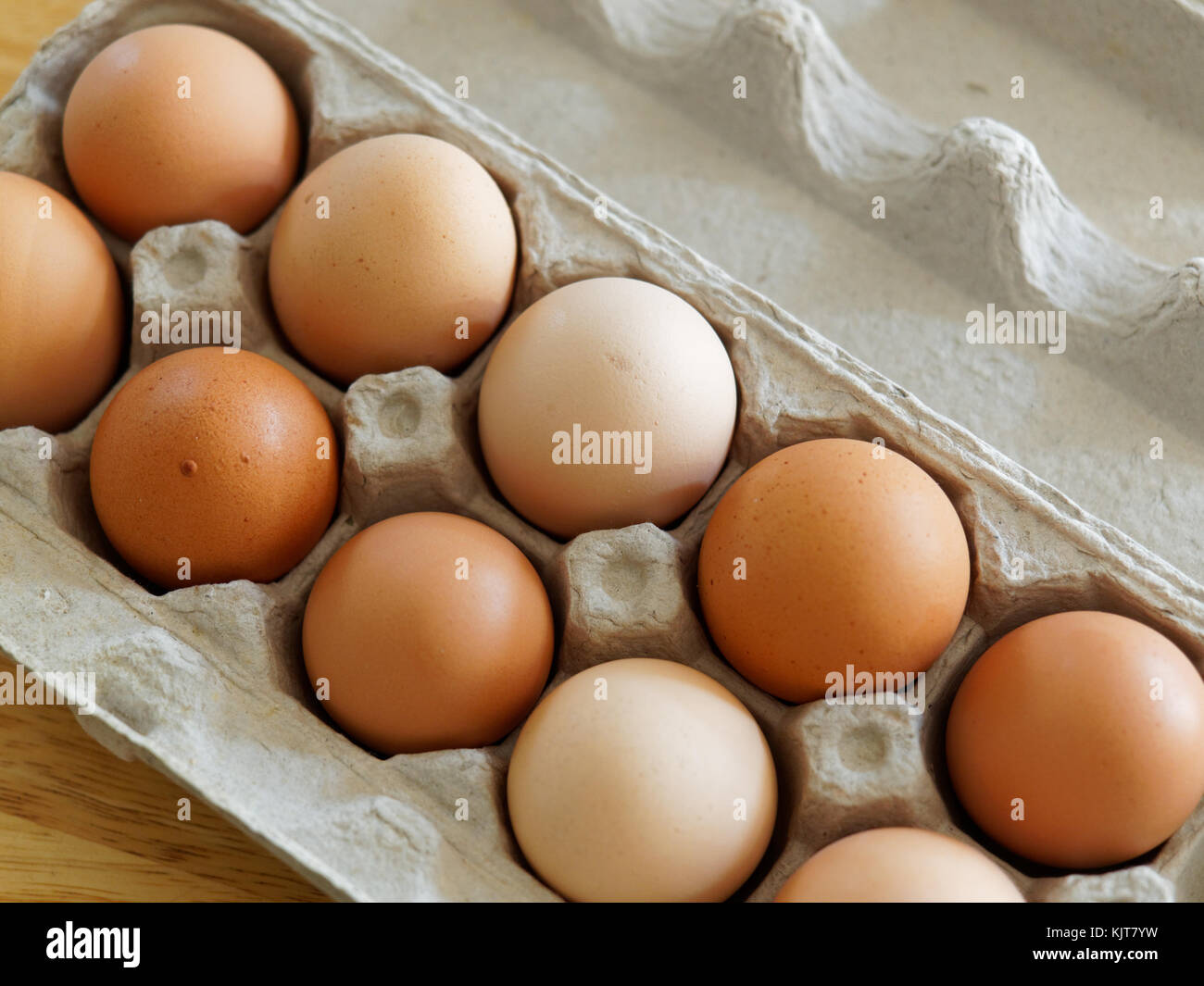 Quebec,Canada. Carton of fresh brown eggs Stock Photo