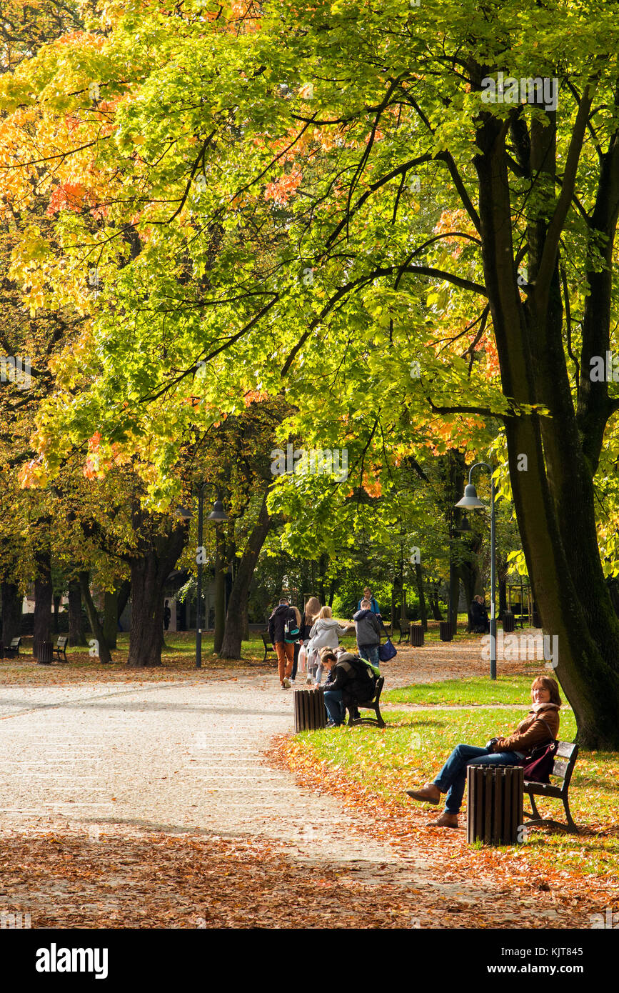 Woman sitting on a park bench in a city parkland and woodland in the ...