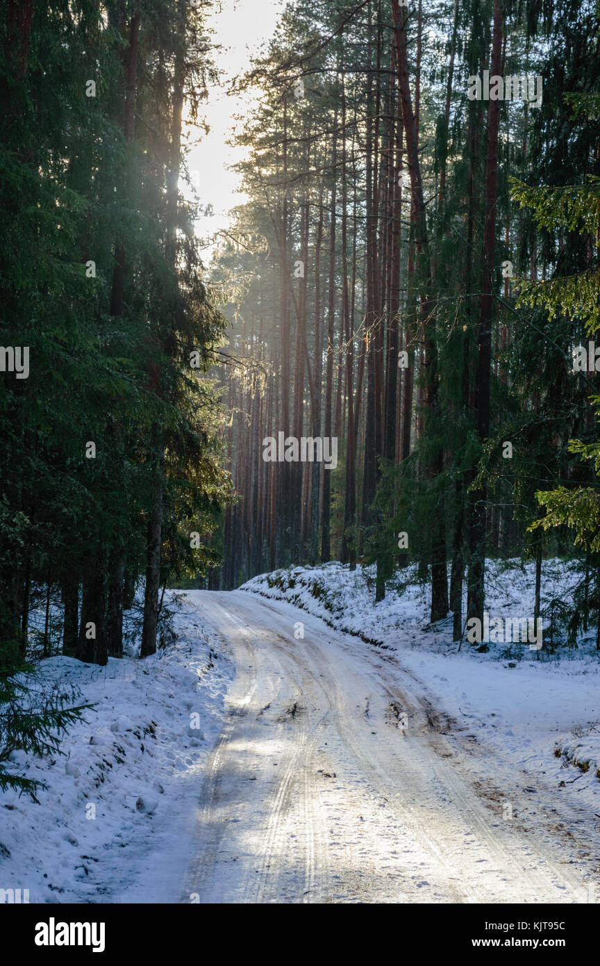 country road in winter with tyre tracks in the snow and ice Stock Photo ...