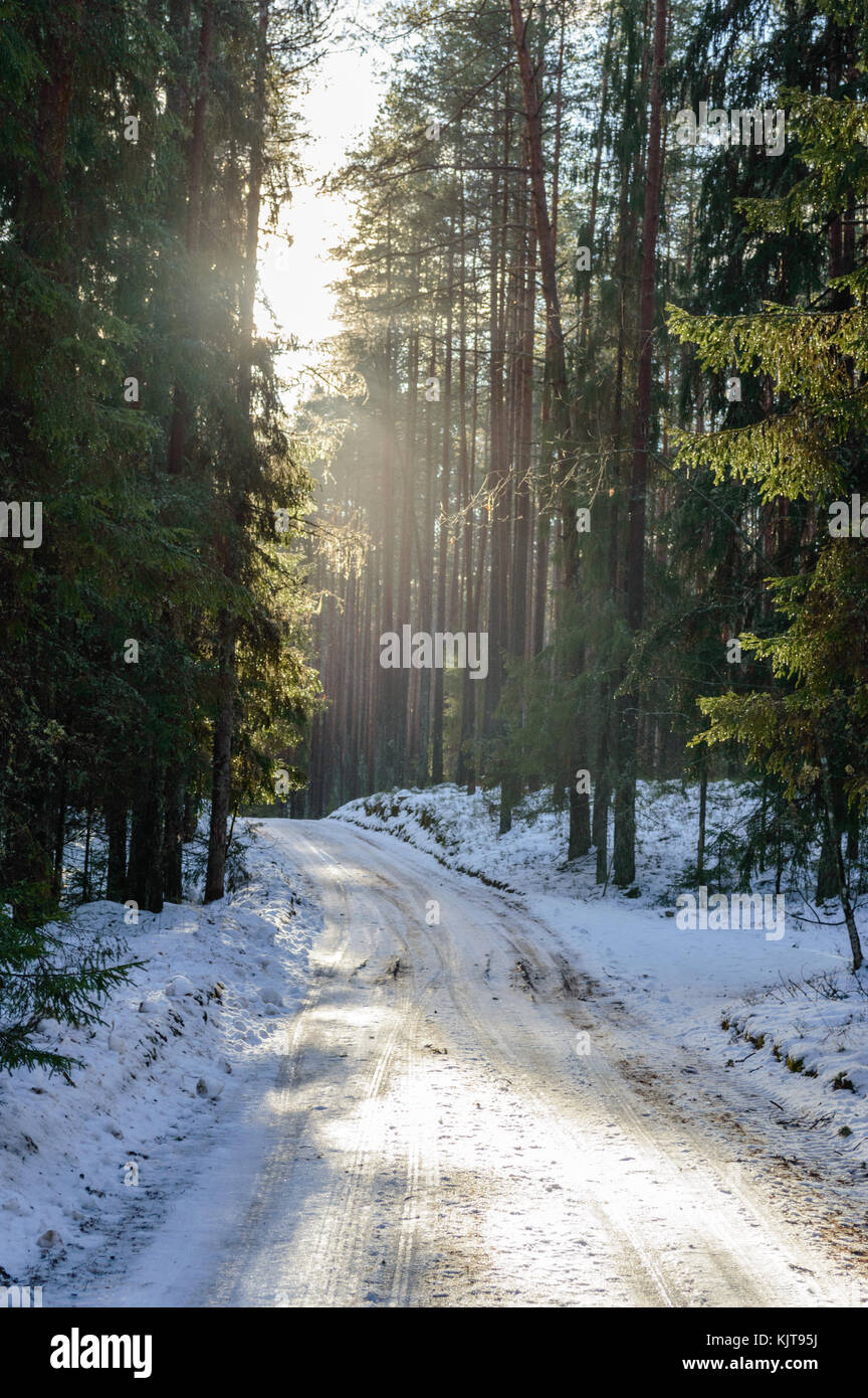 country road in winter with tyre tracks in the snow and ice Stock Photo ...