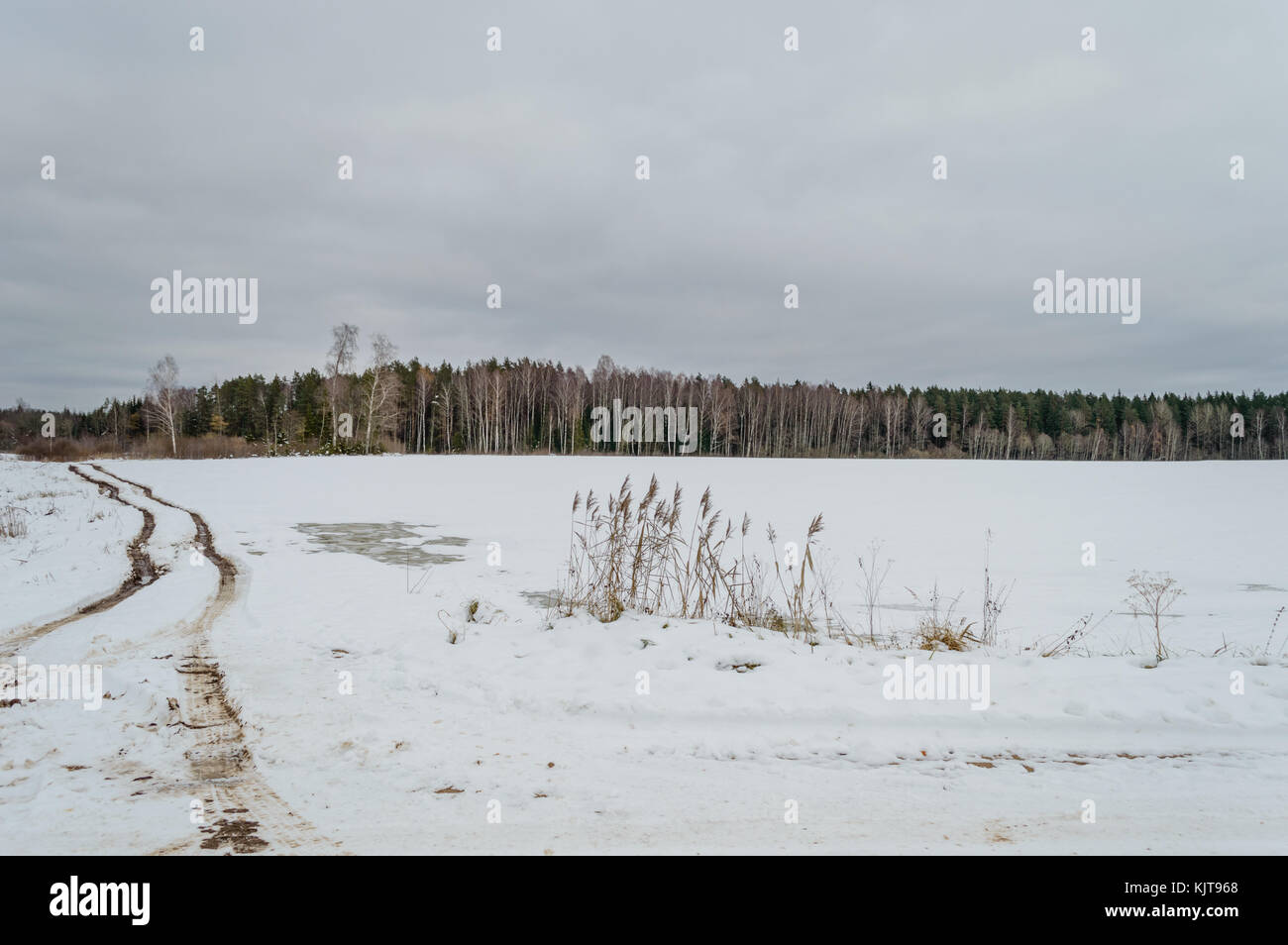 country road in winter with tyre tracks in the snow and ice Stock Photo ...