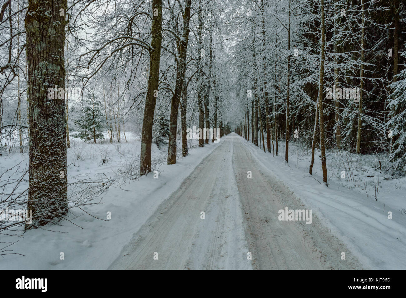 country road in winter with tyre tracks in the snow and ice Stock Photo ...
