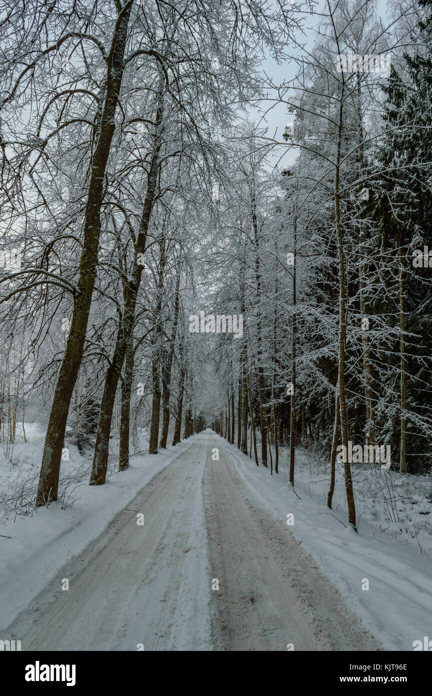 country road in winter with tyre tracks in the snow and ice Stock Photo ...